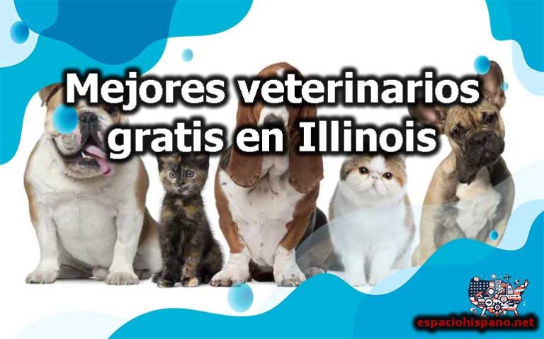 Mejores veterinarios gratis en Illinois